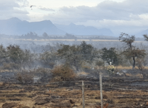 Descartan reactivación de incendio forestal en Puerto Natales