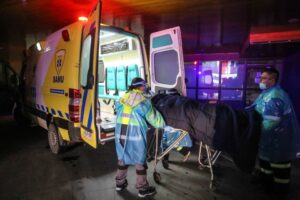 Otra cifra alarmante: Región de Magallanes superó los 500 casos activos de Covid-19
