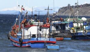 Subsecretaria de Pesca se reunió con la Mesa de Pesca
