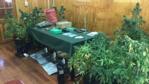Encarcelan a dueño de casa donde se incautaron tres kilos de marihuana