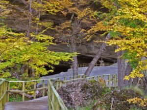 Cueva del Milodón modifica horario de atención
