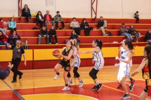 Clubes deportivos de Punta Arenas podrían retomar sus entrenamientos a inicios de mayo