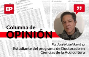 ¿Medio ambiente o un solo ambiente?