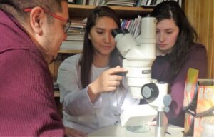 Estudiante UMAG concretó su primera publicación científica en revista internacional