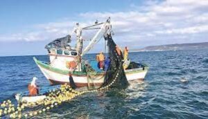 Treinta casos activos deja otro brote en planta pesquera