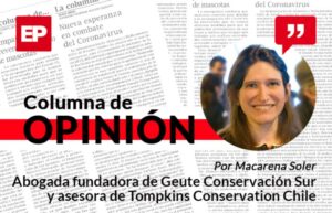 Hacia una ley de filantropía ambiental