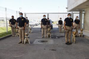 Brianco de la Policía de Investigaciones incorporó nuevo guía canino y ejemplar
