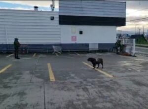 Abandonan maletas y activan protocolo de bomba en estacionamiento de supermercado