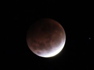 Así se vio la “Luna de sangre” en Punta Arenas