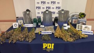 Presunto dueño de 15 plantas de cannabis y 400 gramos de marihuana queda con arraigo regional