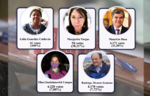 Conozca quienes representarán a la región más austral en el proceso Constituyente