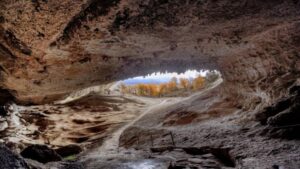 Desde mañana cerrarán Cueva del Milodón y Reserva Nacional Magallanes