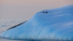 Alumnos finalizan Semana Polar impulsada por Universidad de Magallanes con exhibición audiovisual