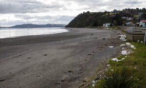 Consejo del Salmón ejecutó 651 limpiezas de playa
