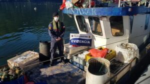 Incautan casi siete toneladas de merluza austral