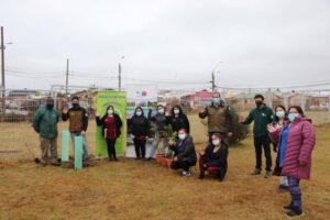 Conaf celebró Día Mundial del Árbol con plantación de especies