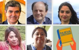 Los cinco constituyentes de Magallanes fueron ratificados por el Tricel