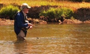 Congreso despacha a ley sanciones a pesca ilegal en ríos y lagos