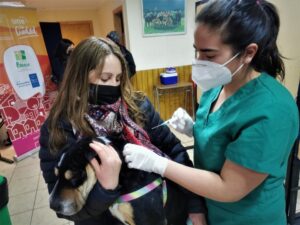 Quiero Mi Barrio realizó atención veterinaria gratuita