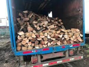 Leñador de Puerto Natales se querella contra pizzería que lo habría estafado con 3,5 millones de pesos