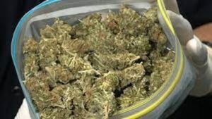 Condenado por 883 gramos de marihuana queda con libertad vigilada