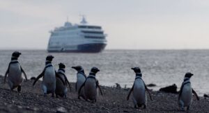 Empresas de cruceros interesadas en iniciar temporada en octubre