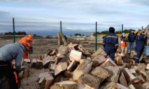 Municipio comenzó entrega de leña para 688 familias de sectores periurbanos de Punta Arenas