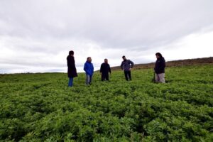 Indap llamó a postular a seguros agrícolas
