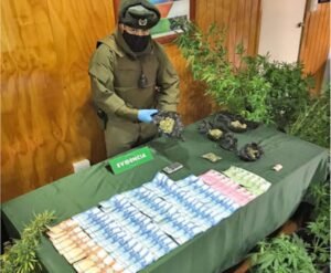 Condenado por cultivo de cannabis cumplirá cuatro años de libertad vigilada
