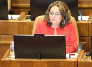 Diputada reitera urgencia a rebaja del impuesto específico a los combustibles