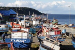 Pocas naves iniciaron este jueves la temporada de la centolla