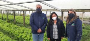 Concurso FIA repartirá $4 mil millones para proyectos de innovación en el agro