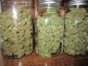 Condenan a joven que le incautaron 139 gramos de marihuana y un millón de pesos en efectivo