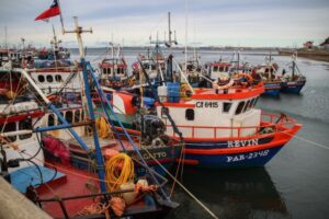 Centolla: buenos precios pero grandes dificultades