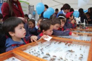 Incentivan a los niños de conocer sobre las ciencias