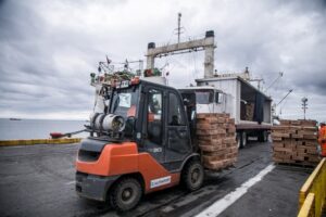 Exportaciones aumentaron en un 76% en junio