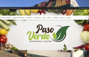 Paso Verde: la tienda virtual de frutas, verduras y abarrotes que llega a distintos sectores del radio urbano de Punta Arenas