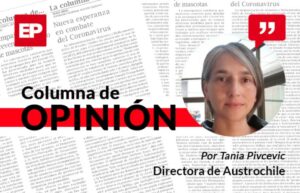 Cómo se realiza el turismo antártico y sus proyecciones regionales