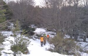 A poco más de un mes de la desaparición de mujer, la nieve vuelve a dificultar labores