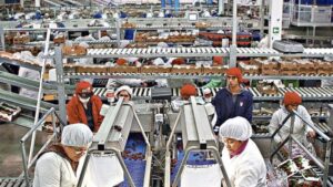 El 46,2% de las mujeres en edad de trabajar en Magallanes se encuentran inactivas