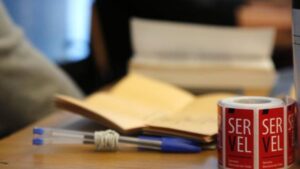 25 candidaturas al CORE fueron rechazadas en la provincia de Magallanes