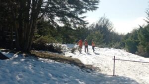 Intensifican pericias en Reserva Forestal Magallanes tras hallazgo relacionado en caso de Guadalupe
