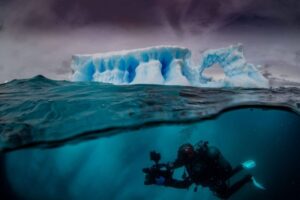 Documental sobre la Antártica submarina compite en festival Santiago Wild