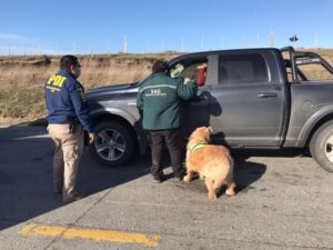 En intensas fiscalizaciones la PDI detuvo  a 20 personas con órdenes de captura