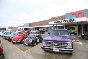 Expo Clásicos Punta Arenas exhibirá mañana 120 vehículos en ZonAustral
