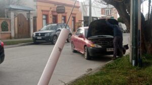 Chofer se estrelló contra árbol en pleno centro