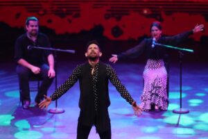 Elige Cultura se alza como la gran plataforma colaborativa a nivel nacional