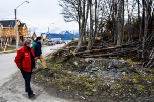 Detectan tala ilegal de árboles nativos desde predio fiscal en Puerto Williams