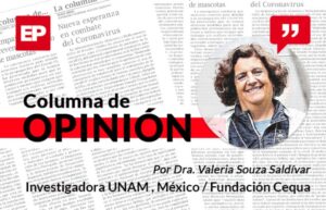 Desde escribir un proyecto a dar clases internacionales
