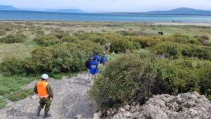 Trabajador encontró fallecido a joven de Puerto Natales